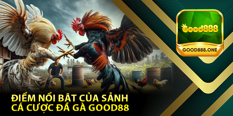 Điểm Nổi Bật Của Sảnh Cá Cược Đá Gà Good88